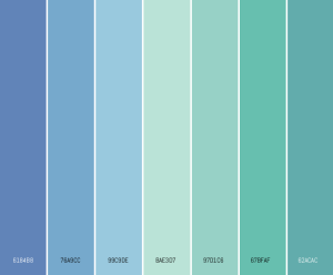 The Power of Colour: Why Your Website’s Palette Matters