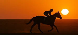 Crowds gathering at Birdsville Races showing the importance of a strong online presence for regional events